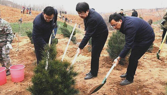 省市2千余名公務(wù)員在藍(lán)田義務(wù)植樹7千余棵白皮松